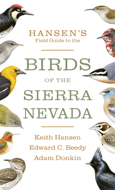 Hansen's Field Guide to the Birds of the Sierra Nevada, Paperback / softback Book