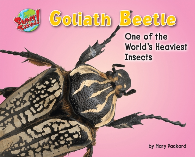 Goliath Beetle, PDF eBook