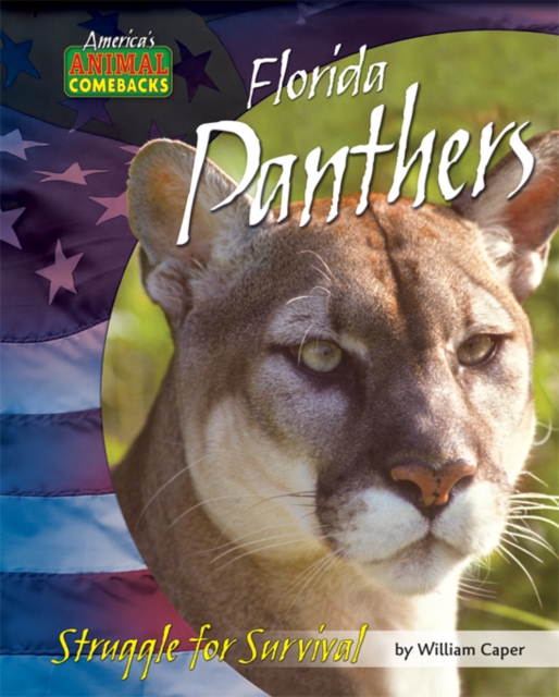 Florida Panthers, PDF eBook