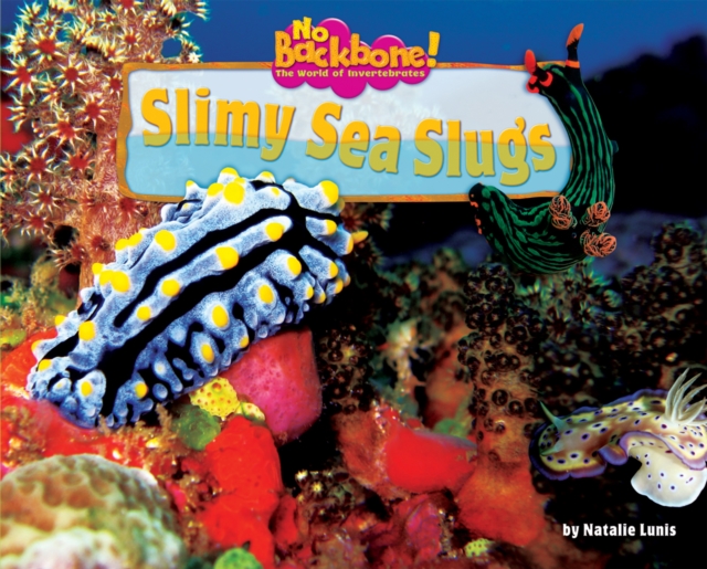 Slimy Sea Slugs, PDF eBook