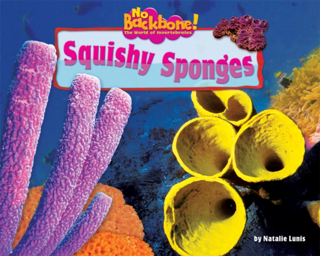 Squishy Sponges, PDF eBook