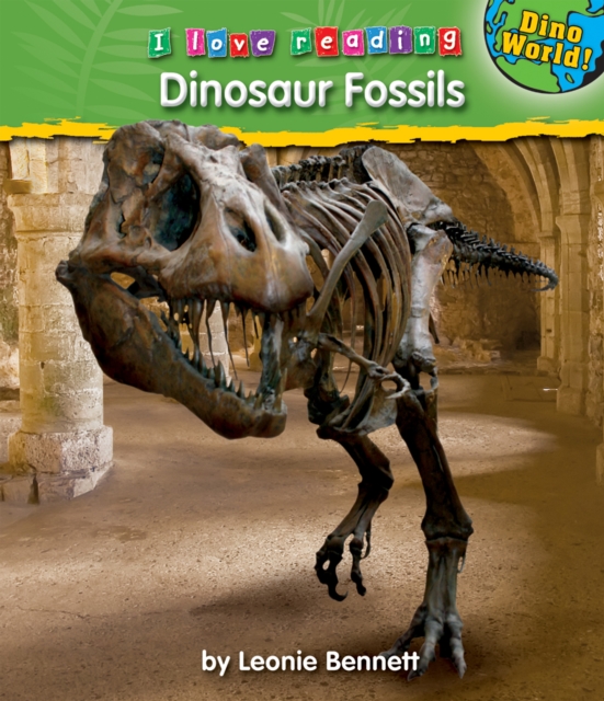 Dinosaur Fossils, PDF eBook