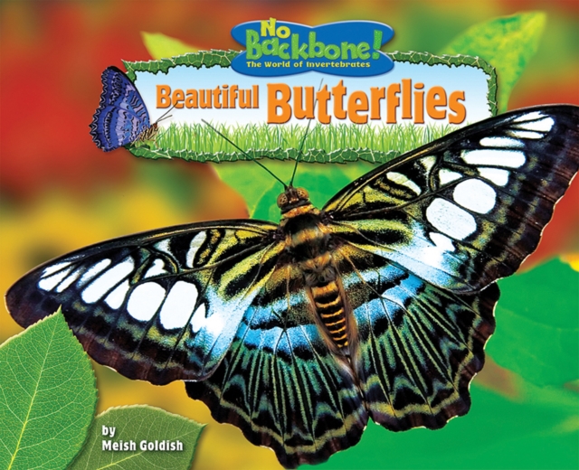 Beautiful Butterflies, PDF eBook