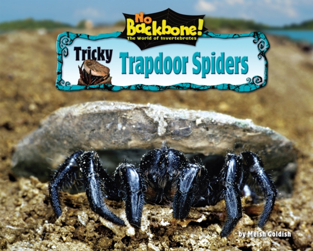 Tricky Trapdoor Spiders, PDF eBook