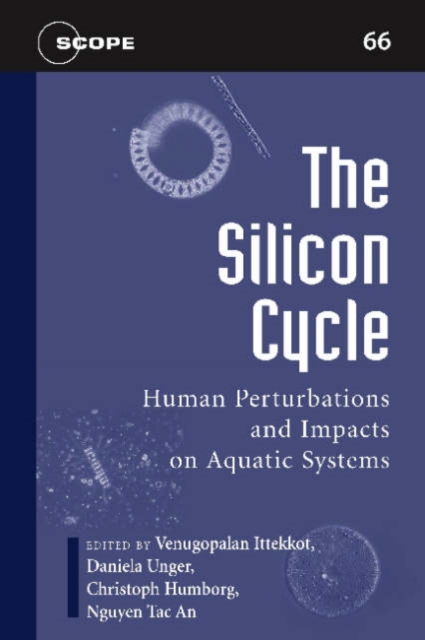 The Silicon Cycle : Human Perturbations and Impacts on Aquatic Systems, Paperback / softback Book
