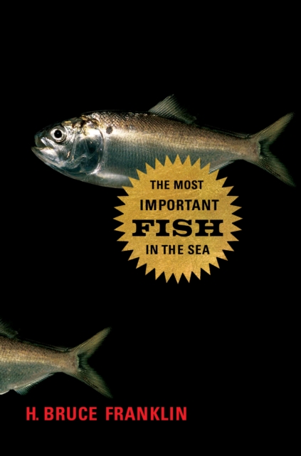 Most Important Fish in the Sea : Menhaden and America, EPUB eBook