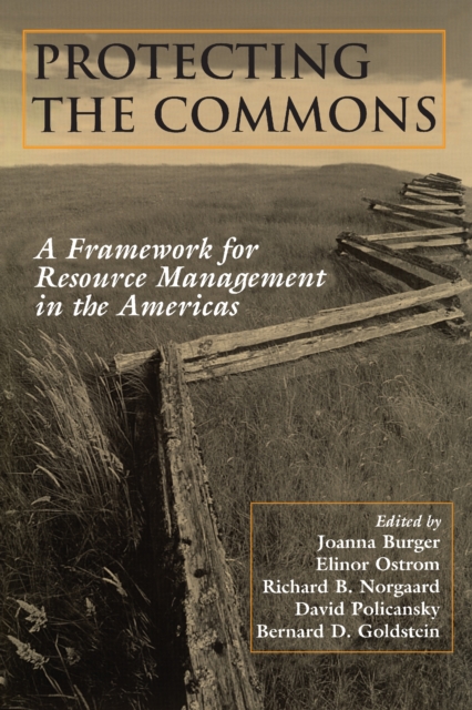 Protecting the Commons : A Framework For Resource Management In The Americas, EPUB eBook