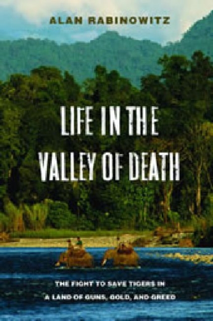 Life in the Valley of Death : The Fight to Save Tigers in a Land of Guns, Gold, and Greed, Paperback / softback Book