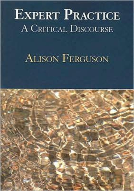 Expert Practice : A Critical Discourse, Paperback / softback Book