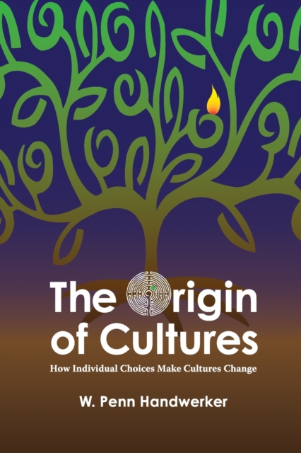 The Origin of Cultures : How Individual Choices Make Cultures Change, Paperback / softback Book
