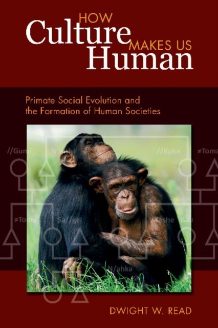 How Culture Makes Us Human : Primate Social Evolution and the Formation of Human Societies, Hardback Book