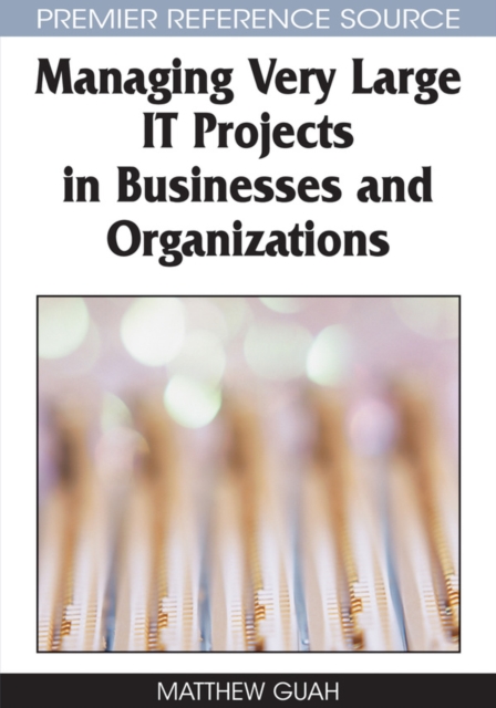 Managing Very Large IT Projects in Businesses and Organizations, PDF eBook