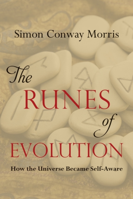 The Runes of Evolution : How the Universe became Self-Aware, Paperback / softback Book