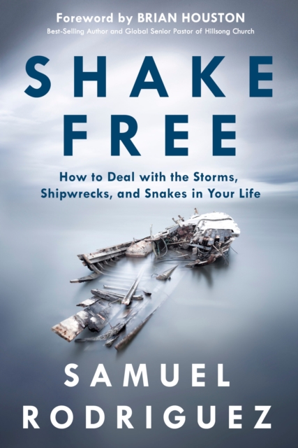 Shake Free, EPUB eBook