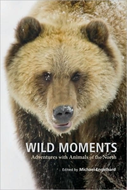 Wild Moments : Adventures with Animals of the North, Paperback / softback Book