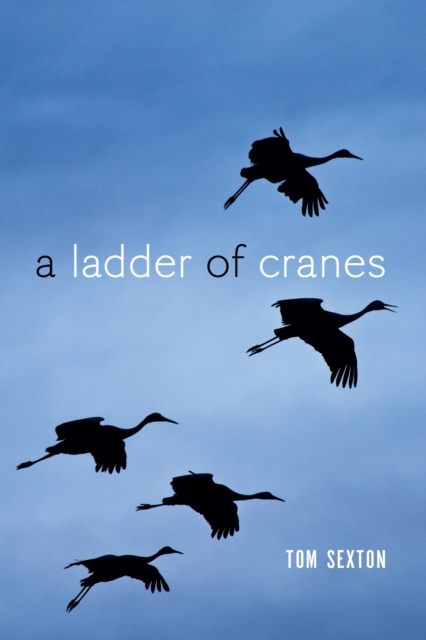 A Ladder of Cranes, EPUB eBook