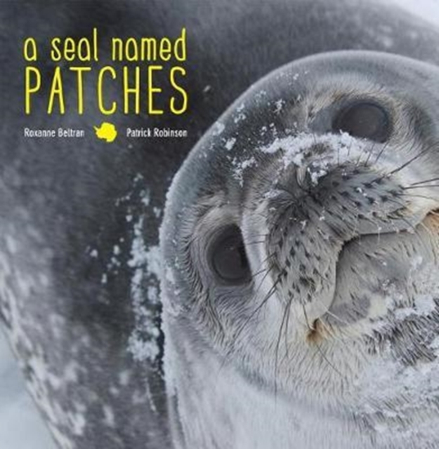 A Seal Named Patches, Hardback Book