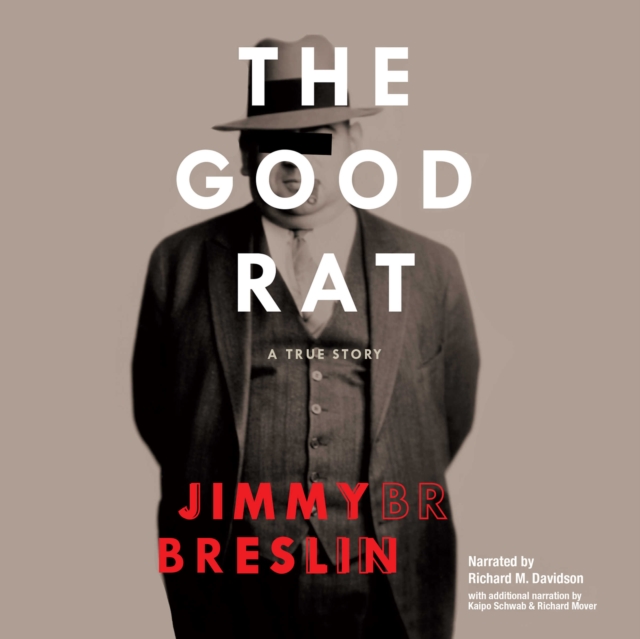 The Good Rat, eAudiobook MP3 eaudioBook