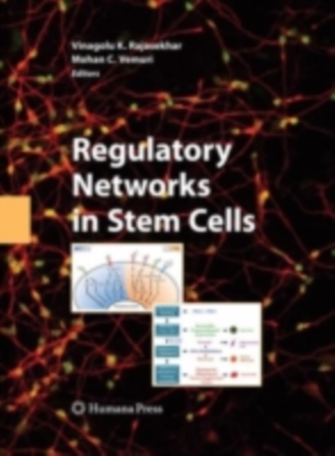 Regulatory Networks in Stem Cells, PDF eBook