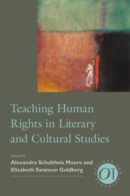 Teaching Human Rights in Literary and Cultural Studies, Hardback Book