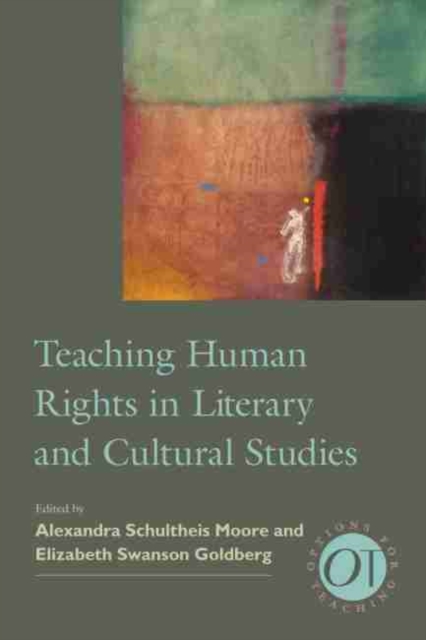 Teaching Human Rights in Literary and Cultural Studies, EPUB eBook