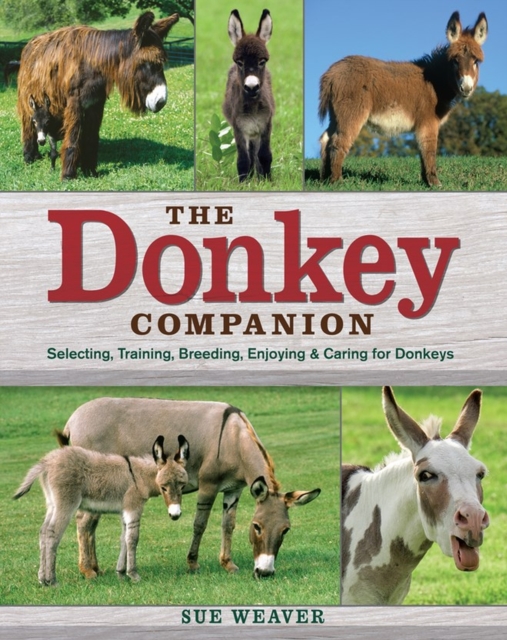 Donkey Companion, Paperback / softback Book