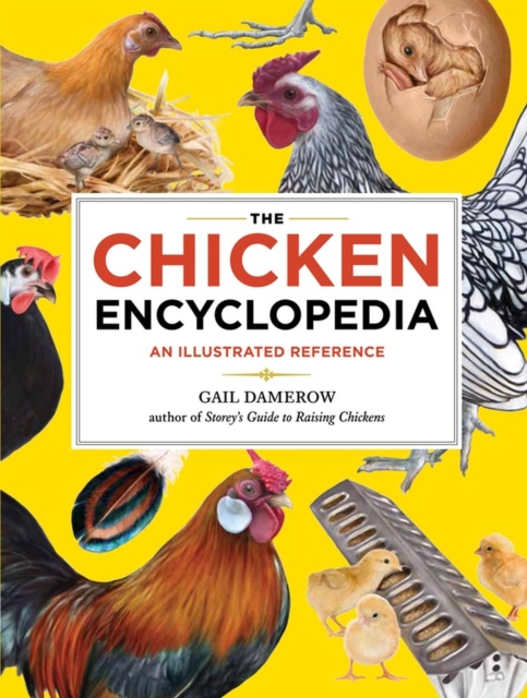 The Chicken Encyclopedia : An Illustrated Reference, Paperback / softback Book