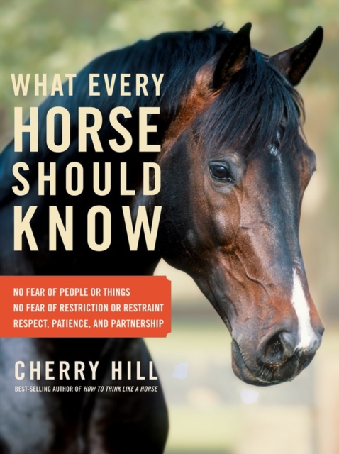 What Every Horse Should Know : A Training Guide to Developing a Confident and Safe Horse, Paperback / softback Book