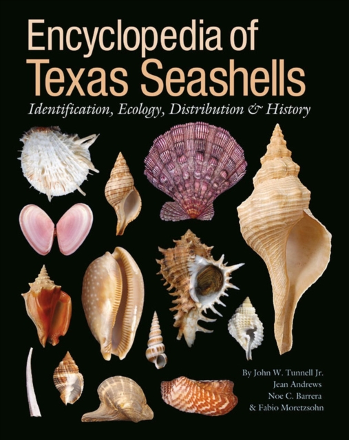 Encyclopedia of Texas Seashells : Identification, Ecology, Distribution, and History, Hardback Book