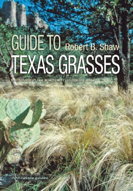 Field Guide to Texas Grasses, Paperback / softback Book