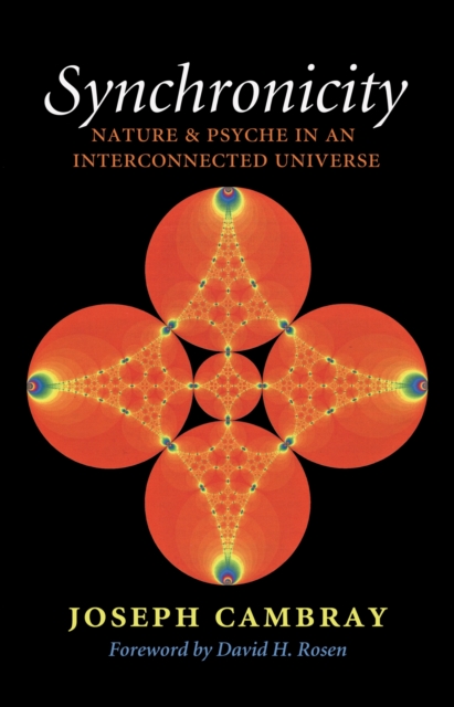 Synchronicity: Nature and Psyche in an Interconnected Universe, Paperback / softback Book