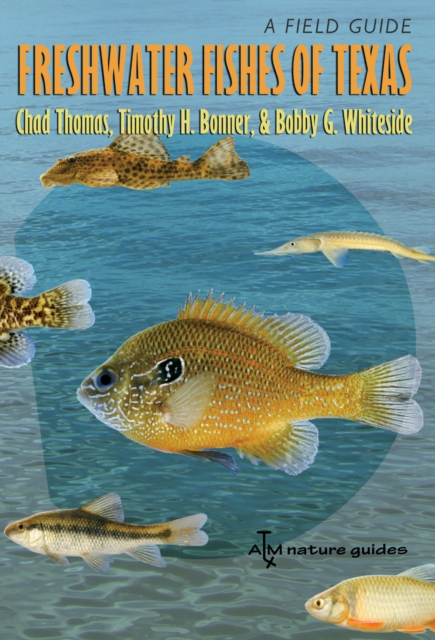 Freshwater Fishes of Texas : A Field Guide, PDF eBook