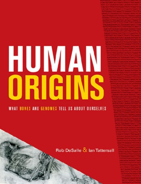 Human Origins : What Bones and Genomes Tell Us about Ourselves, Paperback / softback Book