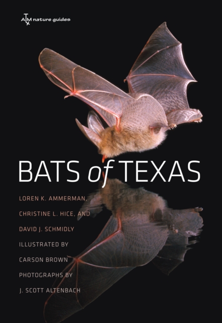 Bats of Texas, EPUB eBook