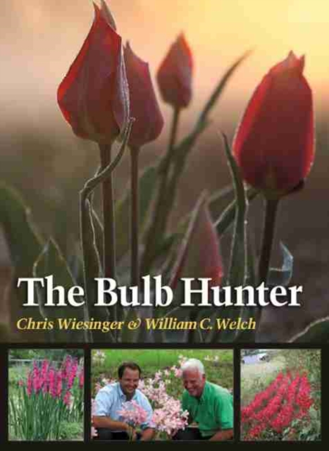 The Bulb Hunter, Paperback / softback Book