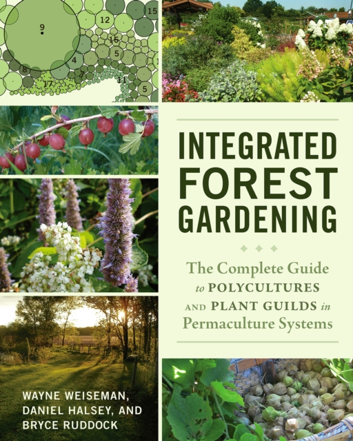 Integrated Forest Gardening : The Complete Guide to Polycultures and Plant Guilds in Permaculture Systems, Paperback / softback Book
