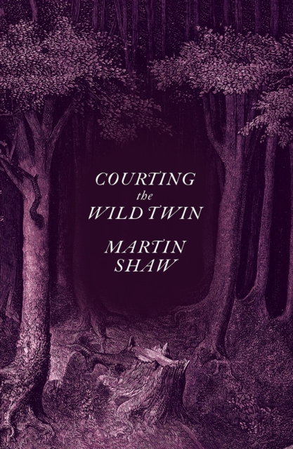 Courting the Wild Twin, EPUB eBook