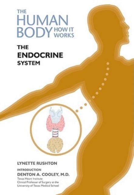 The Endocrine System, Hardback Book