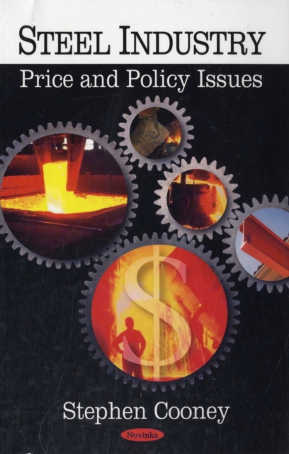 Steel Industry : Price & Policy Issues, Paperback / softback Book