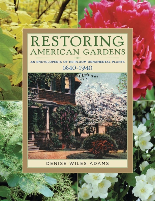 Restoring American Gardens : An Encyclopedia of Heirloom Ornamental Plants, 1640-1940, Paperback / softback Book