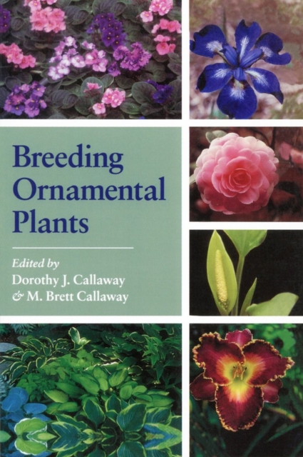 Breeding Ornamental Plants, Paperback / softback Book