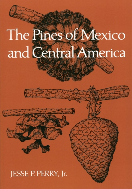 The Pines of Mexico and Central America, Paperback / softback Book