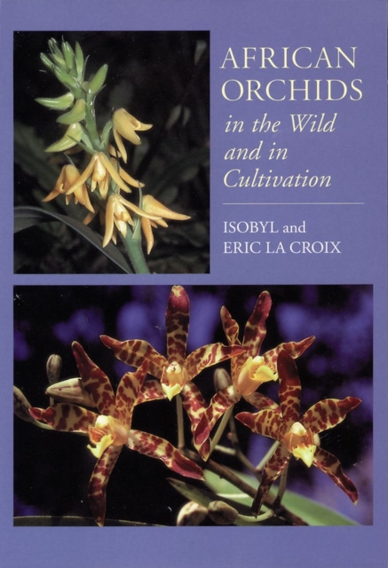 African Orchids in the Wild and in Cultivation, Paperback / softback Book