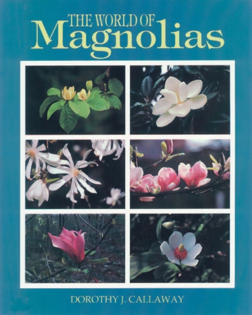 The World of Magnolias, Paperback / softback Book