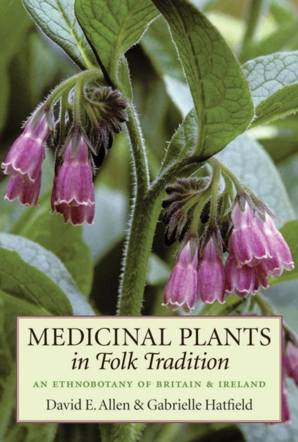 Medicinal Plants in Folk Tradition : An Ethnobotany of Britain & Ireland, Hardback Book