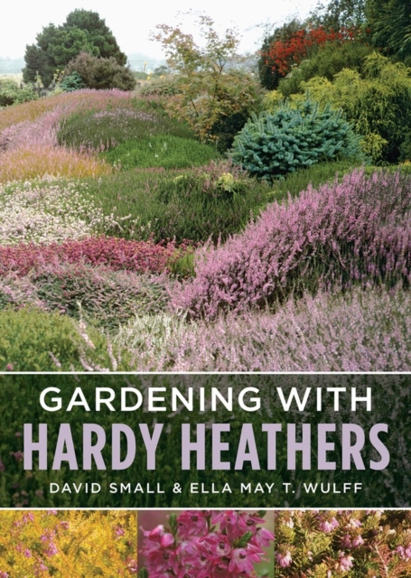 Gardening with Hardy Heathers, Paperback / softback Book