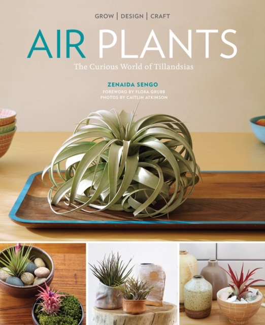 Air Plants : The Curious World of Tillandsias, Paperback / softback Book