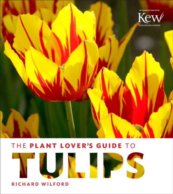 Plant Lover's Guide to Tulips, Hardback Book