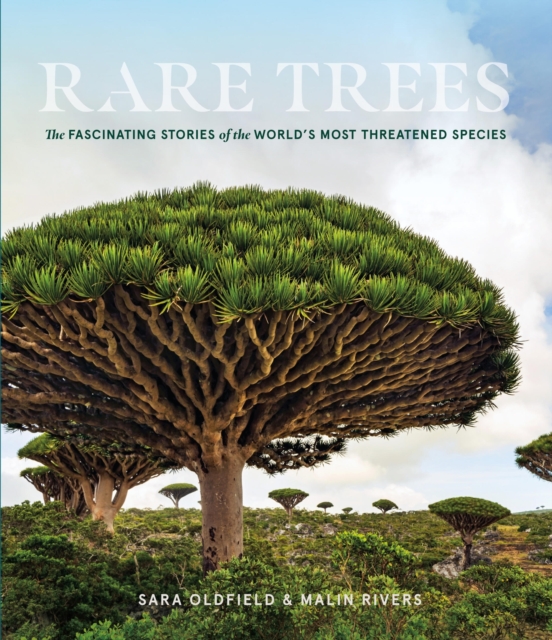 Rare Trees : The Fascinating Stories of the World’s Most Threatened Species, Hardback Book