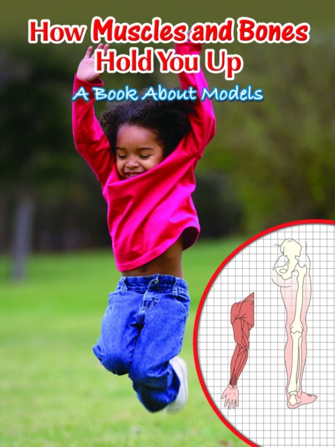 How Muscles and Bones Hold You Up : A Book About Models, PDF eBook